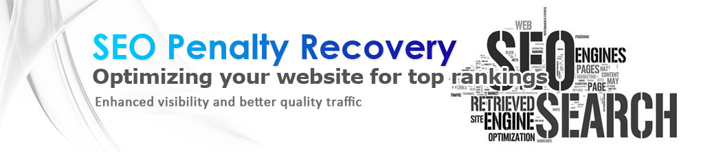 seo penalty recovery optimiation your website for rankings enhanced visibility and better quality traffic   web seo engines retrived site engine optimization search