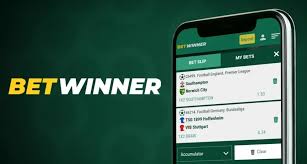 BetWinner Bookmaker A Comprehensive Guide to Online Betting